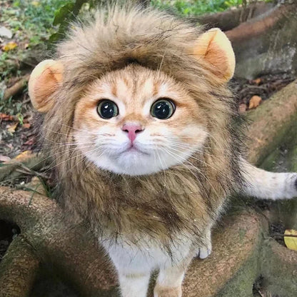 Cute Lion Mane Cat Wig Hat Pet Hat for Dogs Cats Kitten Cap 2026 New Year Party Cosplay Costume Cat Accessories Photo Props